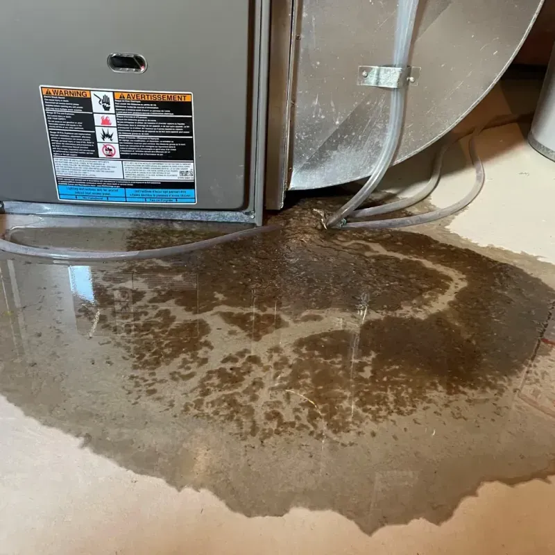 Appliance Leak Cleanup in Saluda County, SC